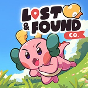 Lost & Found Co. Wholesome Direct 2024